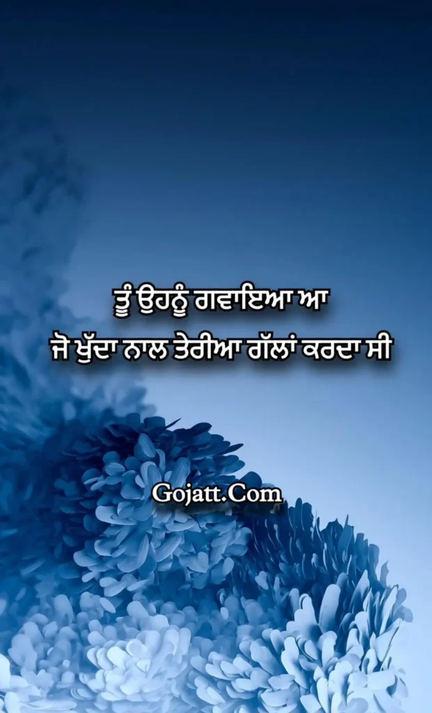 Punjabi Status