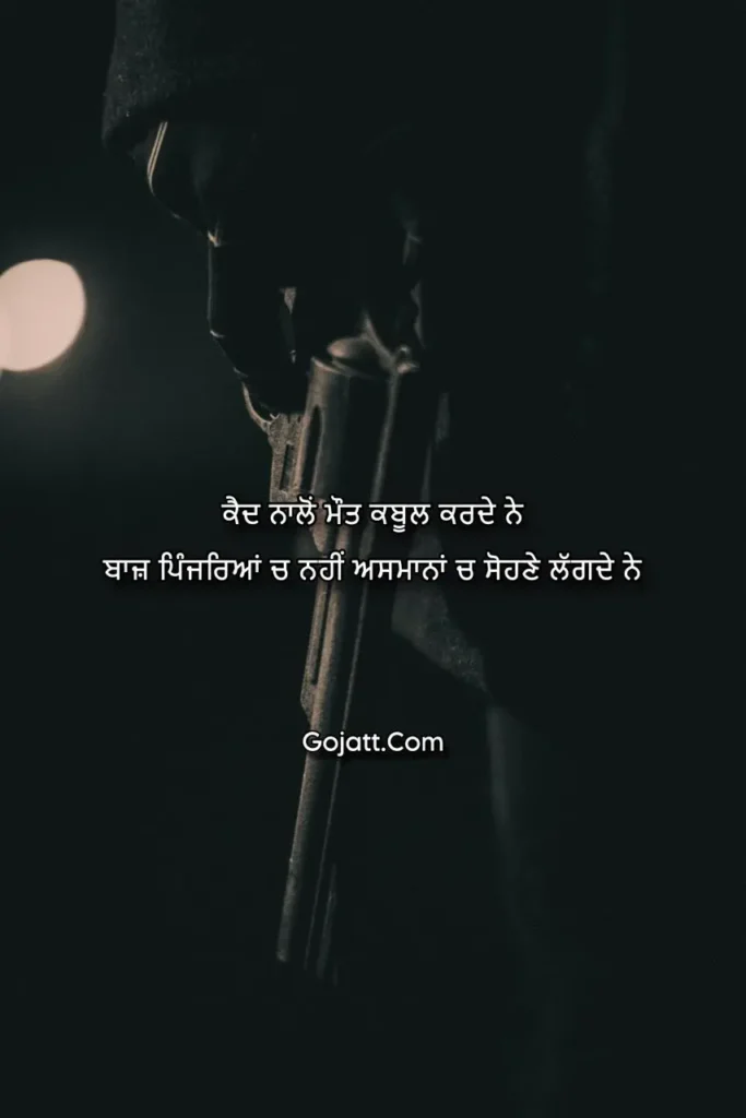 Punjabi attitude Status
