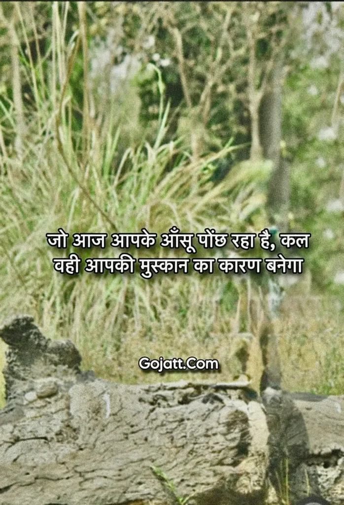 Hindi Status