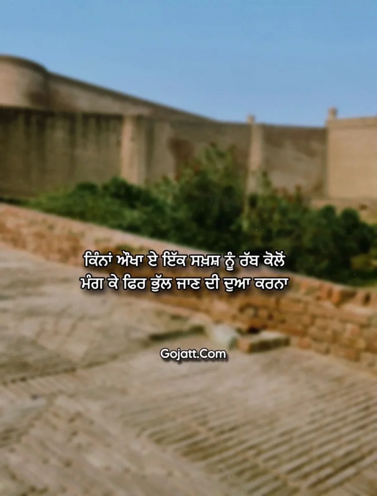 Punjabi Status