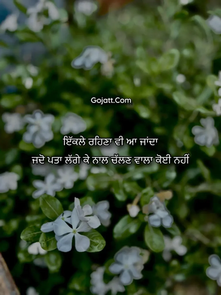 Punjabi sad status