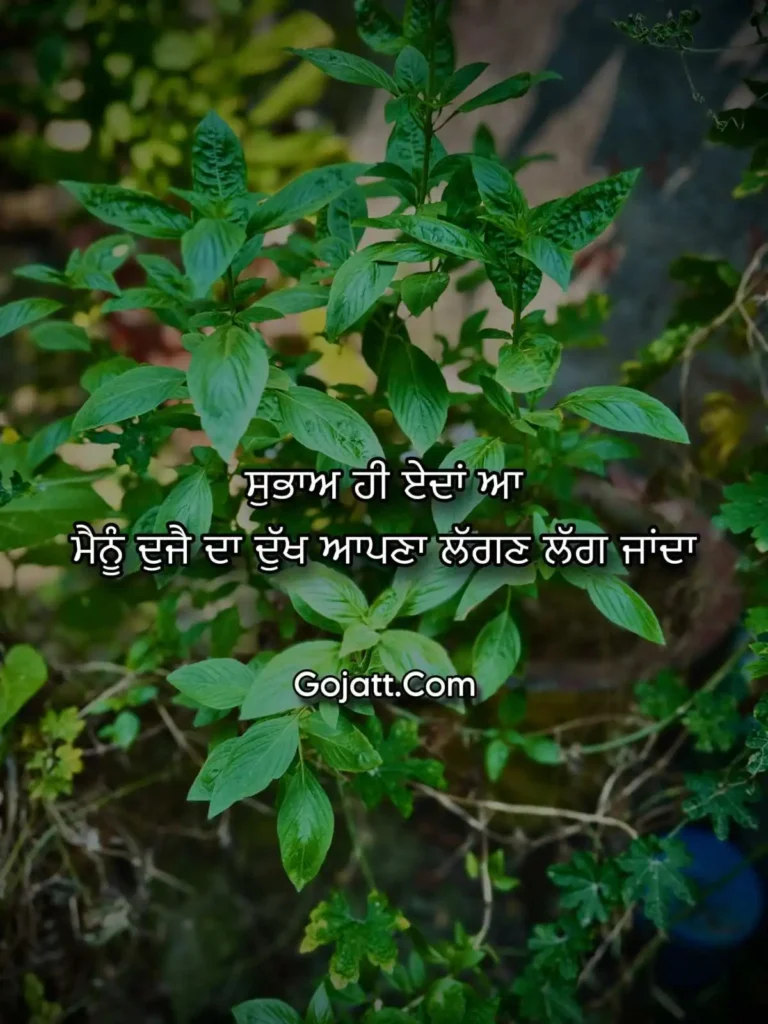 Punjabi sad status