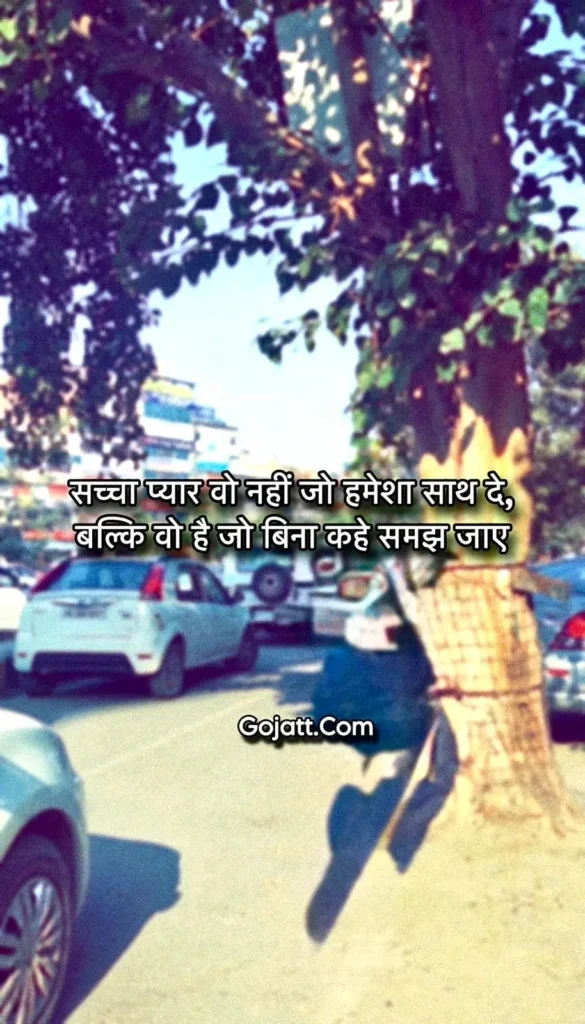 Hindi Status