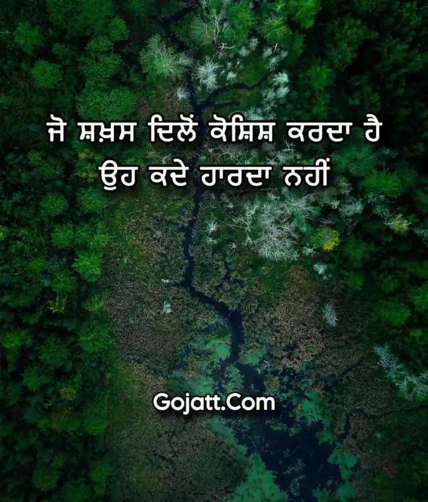 Punjabi Motivational Quotes