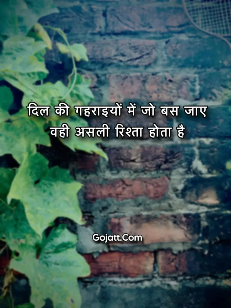 Hindi love status