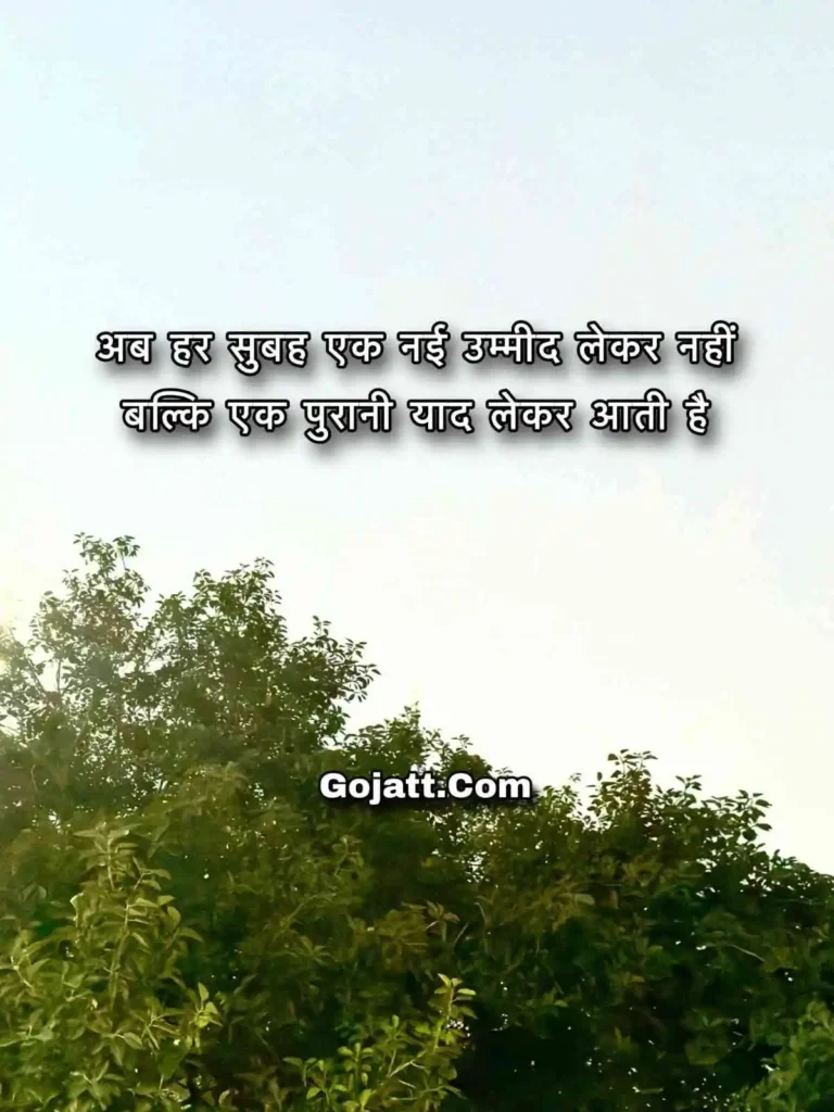 Hindi Breakup Status
