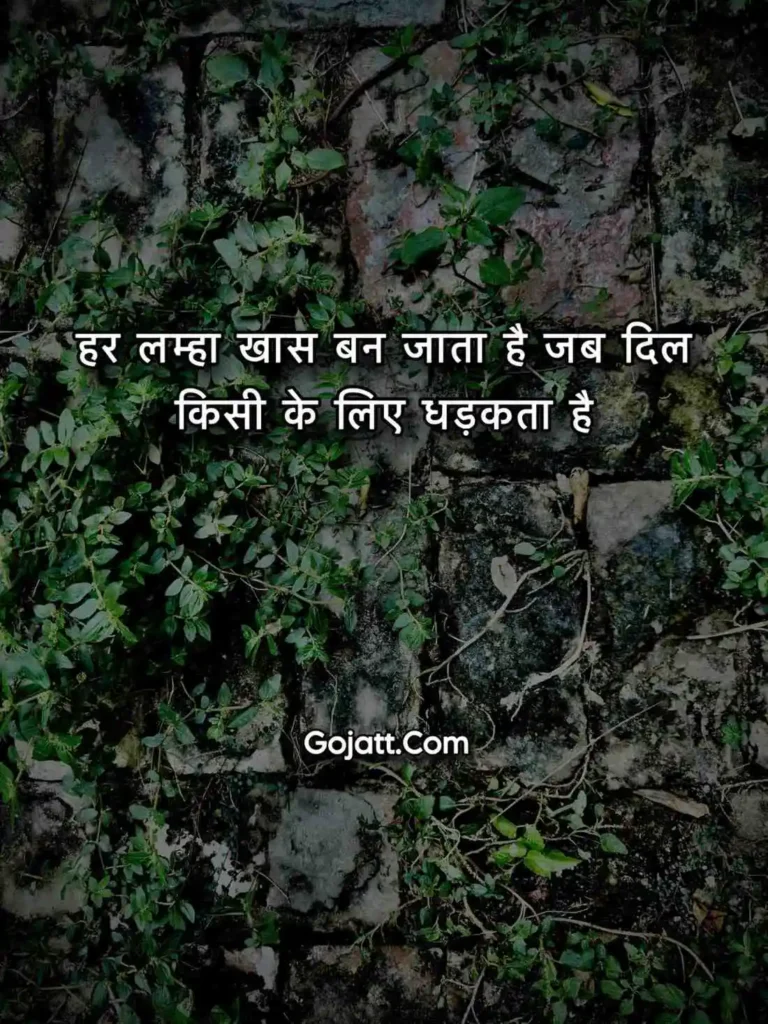 Hindi love status