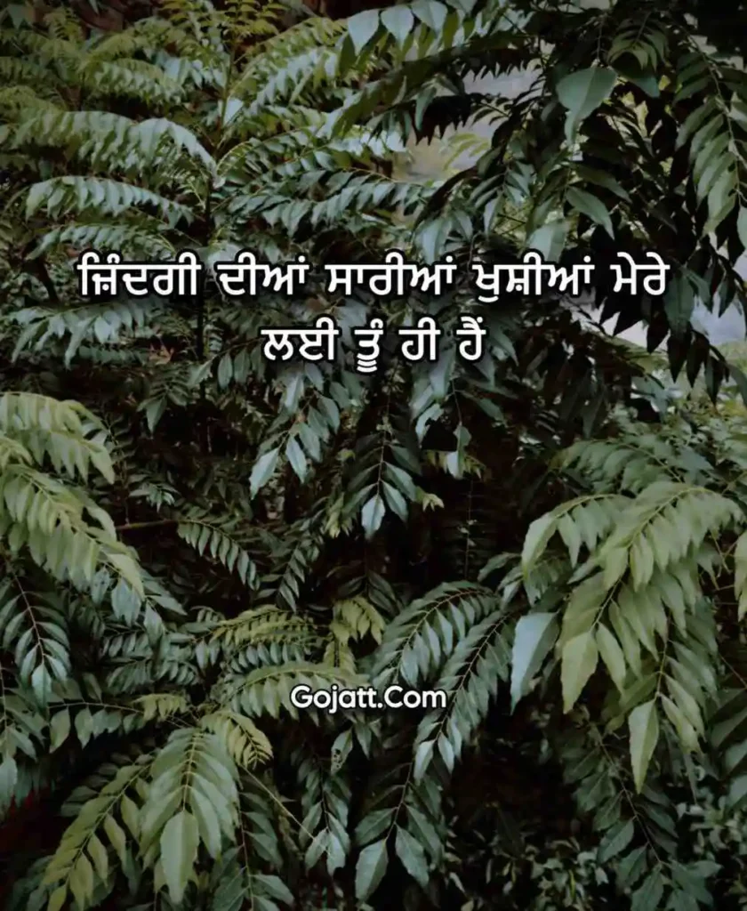 Punjabi love status