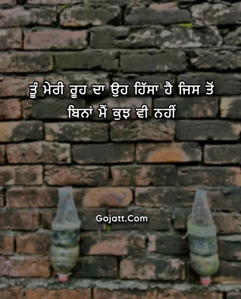 Punjabi love status